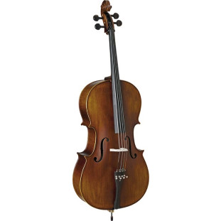 VIOLONCELLO - EAGLE 4/4 CE 310