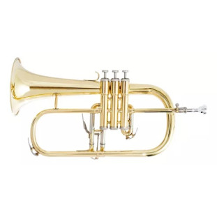 FLUGLHORN SIB - ZELLMER ZFH-600L