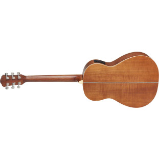 VIOLÃO - HOFMA HMP 310 STNT