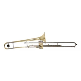 TROMBONE DE PISTO SIB - ZELLMER ZSL-800LN