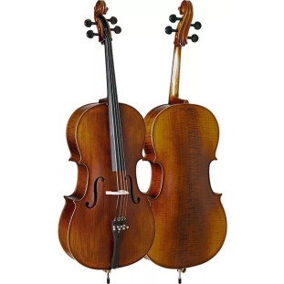 VIOLONCELLO - EAGLE 4/4 CE 310