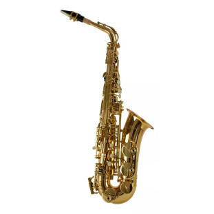 SAX ALTO MIB - SHELTER SFT6430L