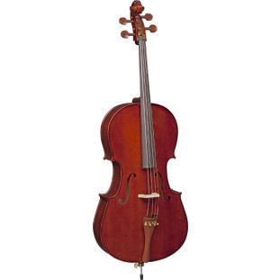 VIOLONCELLO - EAGLE 4/4 CE 200