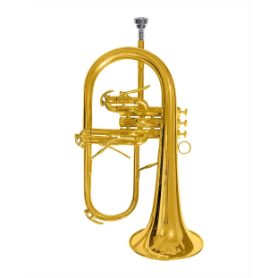 FLUGELHORN SELECT HS MUSICAL BB – HH2