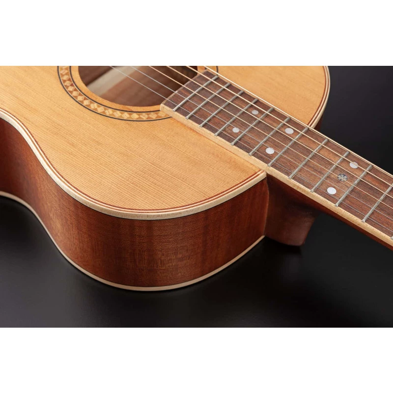 VIOLÃO - HOFMA HMP 310 STNT