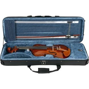 VIOLINO - EAGLE 4/4 VE441