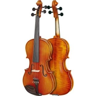 VIOLA DE ARCO - EAGLE VA181